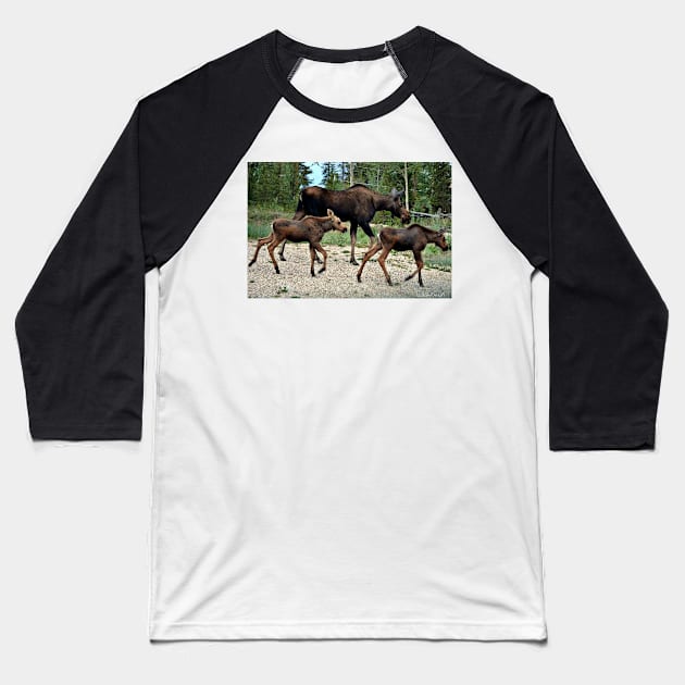 Mama Moose and Her Twins Baseball T-Shirt by Leslie Pino Durant